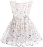 Girls Birthday Party Dress Butterfl