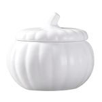 BESTonZON Ceramic Pumpkin Dish Pumpkin Soup Bowls Porcelain Dinnerware Pasta Dessert Bowl with Lid, Dishwasher & Oven Safety