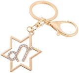 Pautdeer Keychain for Purse Charms,