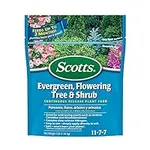 Scotts Evergreen Flowering Tree & S
