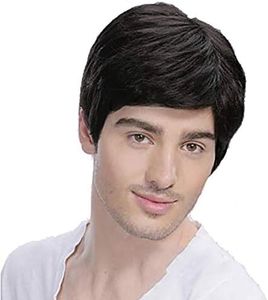 Baruisi Mens Short Black Wig Natural Hair Replacement Synthetic Costume Halloween Hair Wigs