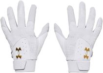 Under Armour boys Harper Youth Baseball Gloves, (100) White/Halo Gray/Metallic Gold, Youth Large