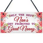 RED OCEAN BEST NANS Promoted To GREAT NANNY Pregnancy Gift Hanging Plaque New Baby Sign