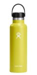 Hydro Flask 21 oz Standard Mouth with Flex Cap Stainless Steel Reusable Water Bottle Cactus - Vacuum Insulated, Dishwasher Safe, BPA-Free, Non-Toxic