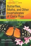 Butterflies, Moths, and Other Invertebrates of Costa Rica: A Field Guide (Corrie Herring Hooks Series Book 65)