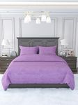 Harbell Home 300 TC Super Soft Flannel Warm Winter Solid Plain Soft and Cozy Bedsheet 90x100 with 2 Pillow Covers. (Purple)