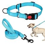 Martingale Dog Collar and Leash Set