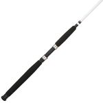 Berkley Big Game Spinning Fishing Rod