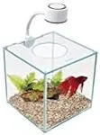 Marina CUBUS Glass Betta Kit – Elegant Glass Aquarium for Homes or Offices