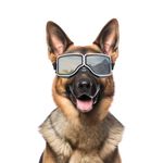 Namsan Dog Sunglasses Medium Large Breed Dog Goggles UV Protection Motorcycle Dog Eye Protective Windproof Anti-Dust Snowproof, Soft Frame, Elastic Straps