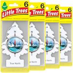 LITTLE TREES Car Air Freshener | Ha