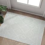 JINCHAN Antibacterial Front Door Mat Area Rug 2x3 Washable Rug Entrance Carpet Indoor Grey Non Slip Boho Small Rug for Kids Nursey Bathroom Kitchen