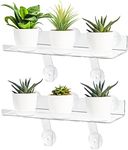 2 Pcs Plant Window Shelf, Window Plant Shelf with Bracket,15in Window sill Extender for Plants, Transparent Acrylic Suction Cup Shelf, Window Shelf for Plants Apply to Succulents, Seed Plant