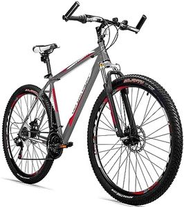 Bicicleta de montaña Detroit de la marca Bergsteiger, 29 pulgadas, adecuada a partir de 170 cm, frenos de disco, cambio Shimano de 21 velocidades, racing red,grey (matt)