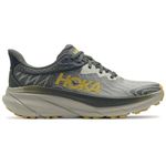 Hoka Men's Challenger 7 Sneaker, Olive Haze/Forest Cover, 13