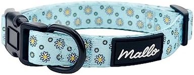 Dust and Things Daisy Dog Collar Blue - Dog Accessories Girl Boy - Patterned Dog Collar - Dog Gift Set - Puppy Collar Set - Fabric Dog Collar With Buckle (Daisy, Large)