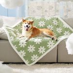 Lesure Waterproof Dog Blanket for L