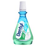 Dentyl Dual Action Smooth Mint Plaque-Reducing CPC Mouthwash, 500ml