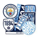 Desert Cactus Manchester City Stickers Man City MCFC Sheet Vinyl Football Soccer Premier League Decal Laptop Water Bottle Car Scrapbook 11.42x8.86 Sheet (Type 2)