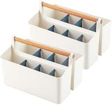 Cocheetah 2 Pack Art Caddy Organize