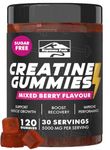 Creatine For Women Muscle Gain