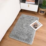 Terrug Fluffy Rugs for Living Room Bedroom, 2x3 Grey Area Rug Washable Shag Carpet, Super Soft Fuzzy Plush Non-Slip Cute Modern Kids Rug for Nursery College Dorm Classroom Kids Room Home Decor