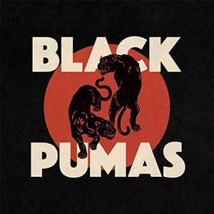 Black Puma