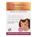 Medfly Healthcare Spot On Treatment for Cats (Pack of 1) | Highly Effective Tick, Flea & Lice Prevention | Fipronil-Powered Formula for Healthy, Happy Cats & Kittens