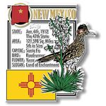 New Mexico State History Magnet