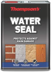 Thompsons Water Seal 5L | Clear Silicone Waterproofer & Masonry Sealer | Protects Decking, Brick, Concrete, Stone & Paving | Stops Freeze-Thaw Damage | Damp Surface Formula | Fast Drying