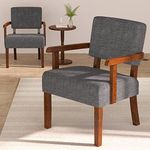 FAGAGA Accent Chair Set of 2 with T