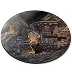 Baby Wild Boar Pig Piglet Fun - Flexible Round 5mm Rubber Mouse Mat Pad Office Home Novelty Printed Desk Accessory 2290