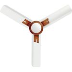 STANDARD Dasher 600mm Super High Speed Ceiling Fan|Dust Resistant| 2 Year Warranty (Pearl White Wood, Pack of 1)