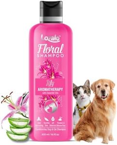 Lozalo Flo