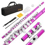 LeSage Flutes Closed Hole 16 Key Pink C Flute for Kids Beginner Starter Student with Flute Case Maintenance Kit Cleaning Cloth Flute for Band Flutes