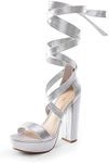 DREAM PAIRS High Chunky Block Platform Heels for Women Strappy Gladiator Sexy Open Toe Dressy Sandals SDHS2205W Silver 9.5