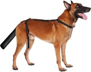 BARKLESS D