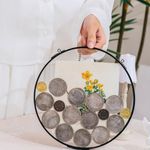 NCYP Glass Coin Organizer Holder for Morgan Silver Dollar Coin - Wall Hanging Display Frame - Round 8" Glass Floating Herbarium for Dried Flowers - Home Decor, Black (Glass Frame Only)