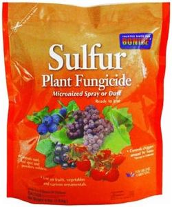 Bonide Sulfur Plant Fungicide, 4 lb. Ready-to-Use Micronized Spray or Dust for Organic Gardening, Controls Common Diseases