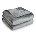 Topblan Weighted Blanket Twin Size 