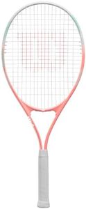 Wilson Env