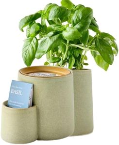 Modern Sprout Ember Earth Candle Planter - 2 in 1 Scented Soy Candle w/Bottom Feeding System & Organic Non-GMO Basil Seeds - 8 Oz, 50 Hr Burn Time in a Ceramic Vessel for Indoor Herbs-Photosynthesis