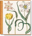 Basilius Besler. The Garden at Eich