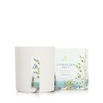 Thymes Poured Candle - Cyprus Sea Salt Candle - Luxury White Candle with Coastal Mediterranean Scent for Home Decor, Bathroom Decor - Coastal Mediterranean Scent (8.0 oz)