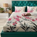 Urban Space Serene 100% Cotton 200 TC Bedsheet for King Bed, Bedsheet King Size Bed Cotton with 2 Pillow Cover (108 x 108 inches, Majestic Pink)