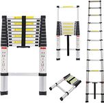 Light Extension Ladders