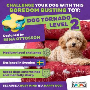 Outward Hound Dog Tornado Puzzle Toy – Interactive Treat Dispenser