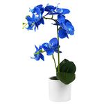 Olrla Blue Orchid Artificial Flowers in White Pot, Fake Real Touch Phalaenopsis Orchid Flowers Decor for Kitchen Bathroom Home Office Wedding (Royal Blue 2)