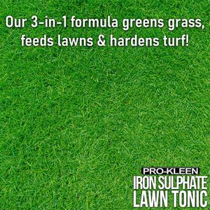 Pro-Kleen Lawn Tonic Liquid Iron Sulphate – 5L Grass Fertiliser & Turf Hardener