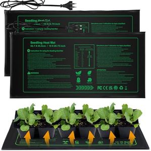 Seedling H